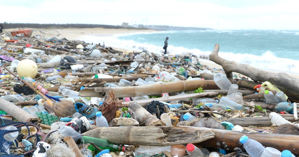 El Impacto de los Bioplásticos en el Medio Ambiente